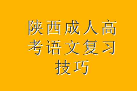 陕西成人高考