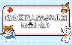 杨凌区成人高考毕业档案是什么