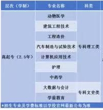 招生专业
