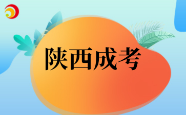 2025年陕西学前师范学院成考专业介绍